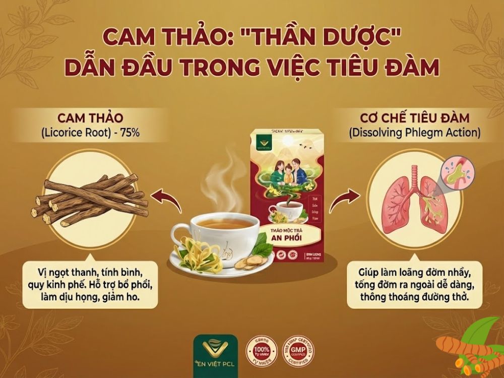 Cam Thảo: "Thần dược" dẫn đầu trong việc tiêu đàm