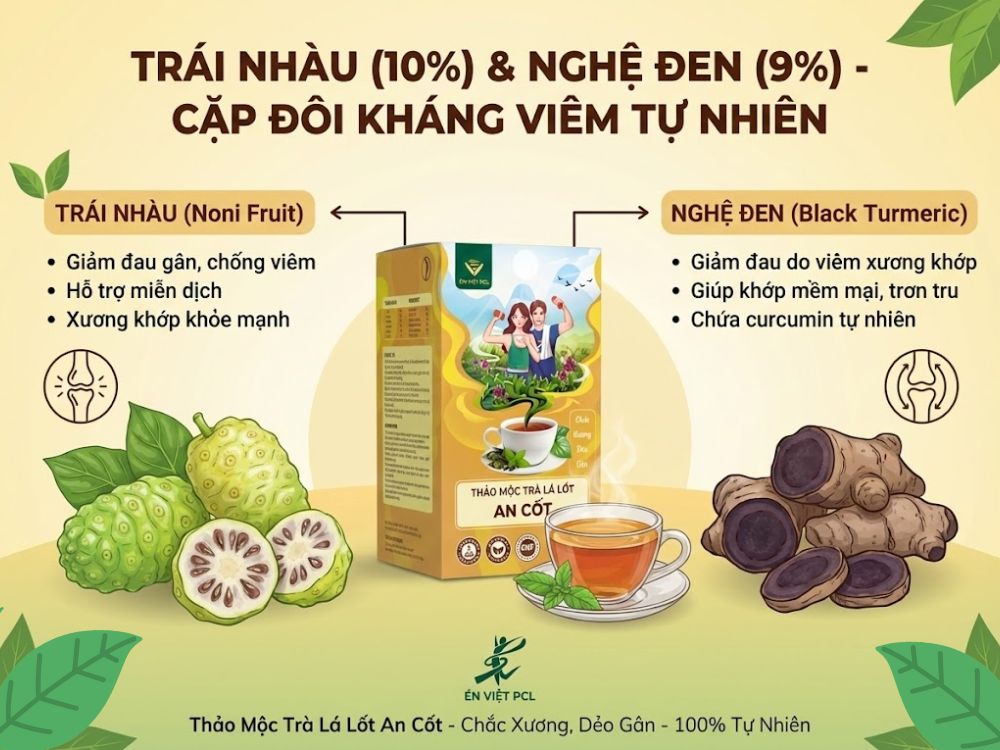 Trái Nhàu (10%) & Nghệ Đen (9%) - Cặp đôi kháng viêm tự nhiên