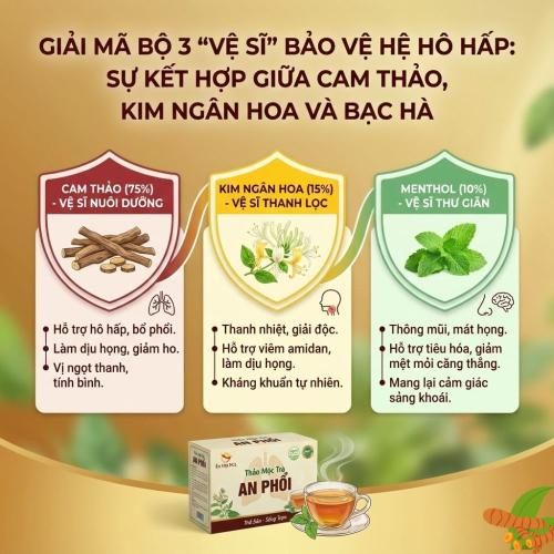 Giải Mã Bộ 3 "Vệ Sĩ" Bảo Vệ Hệ Hô Hấp: Sự Kết Hợp Giữa Cam Thảo, Kim Ngân Hoa Và Bạc Hà