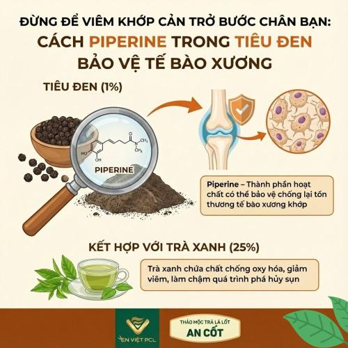 Đừng Để Viêm Khớp Cản Trở Bước Chân Bạn: Cách Piperine Trong Tiêu Đen Bảo Vệ Tế Bào Xương.
