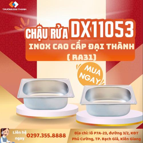 Chậu rửa Inox cao cấp Đại Thành DX11053 (RA31)