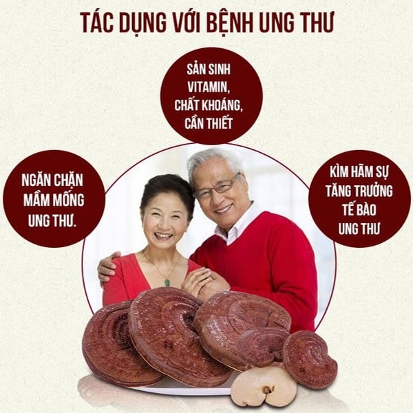 Hiệu quả trị liệu của Linh chi đối với bệnh ung thư