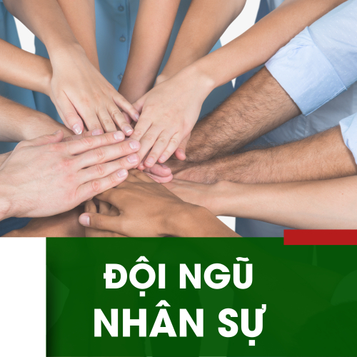 Đội Ngũ Nhân Sự Tại Hiền Nhân Group