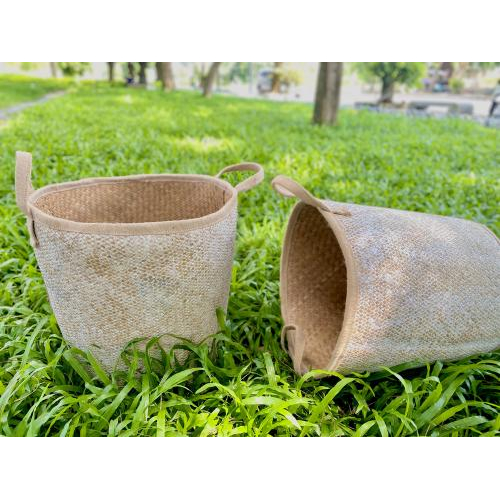 Ánh sáng tự nhiên