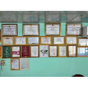 Xoài Sấy Dẻo - SUNHI