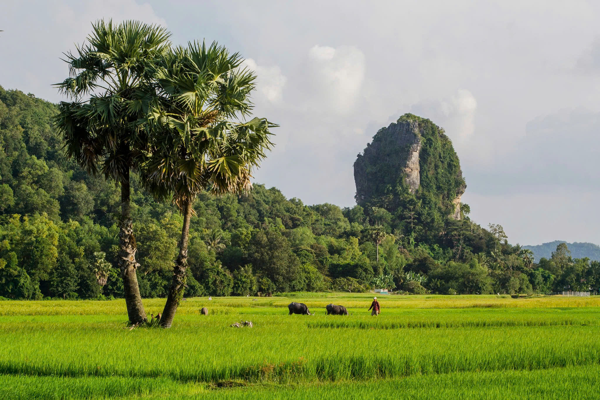 Di tích Danh thắng THẠCH ĐỘNG