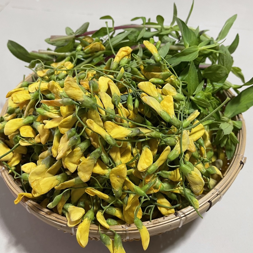 Bông Điên Điển – Món Quà Dân Dã Mùa Nước Nổi