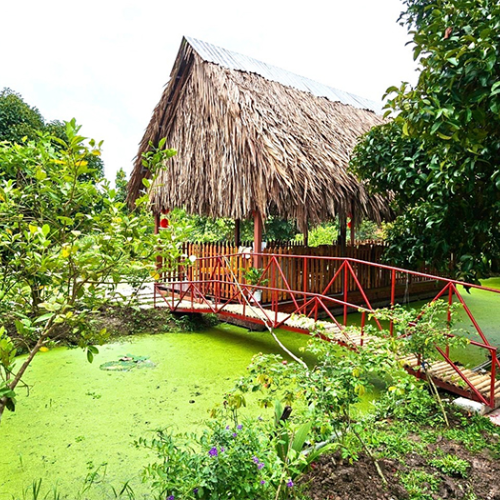 Khám Phá Du Lịch Sinh Thái Cùng Tuấn Tường