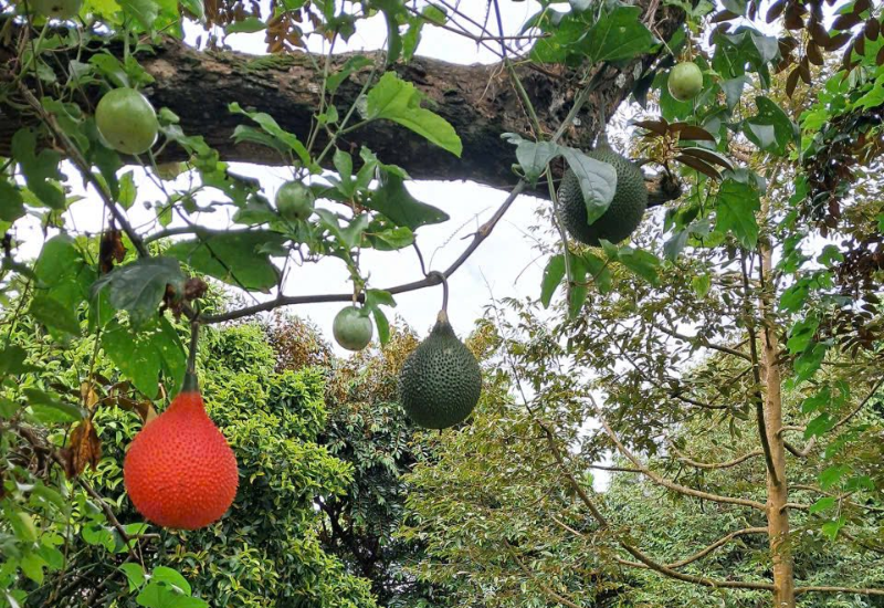 Vì sao tuấn tường lại đáng ghé thăm tới vậy