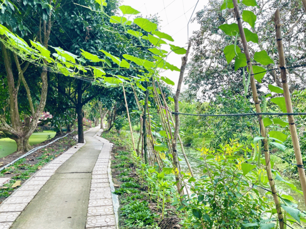 Thư giãn và gắn kết giữa thiên nhiên