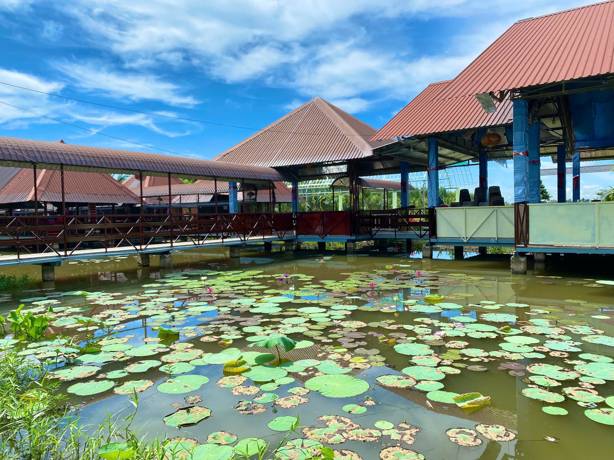 Vị trí thuận lợi và trải nghiệm kết hợp