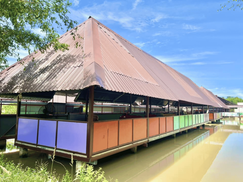 Khi đất trời giữ nhịp sống xanh