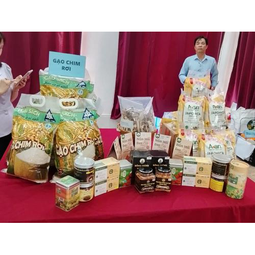 Tổ chức đồng bộ từ hội nghị đến hoạt động trưng bày, kết nối