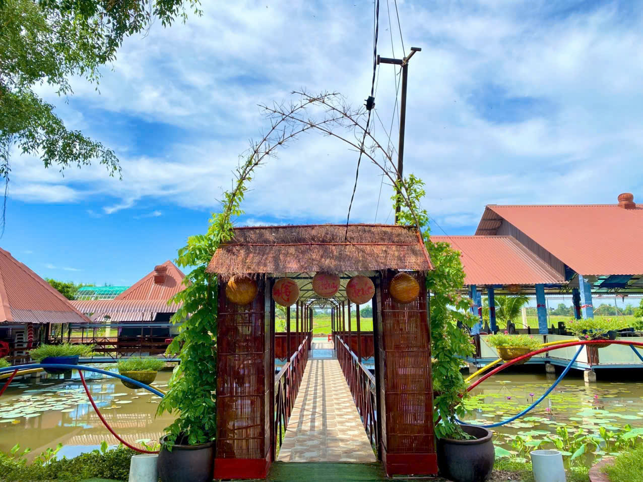 Giá trị giáo dục và trải nghiệm thực tế cho trẻ nhỏ