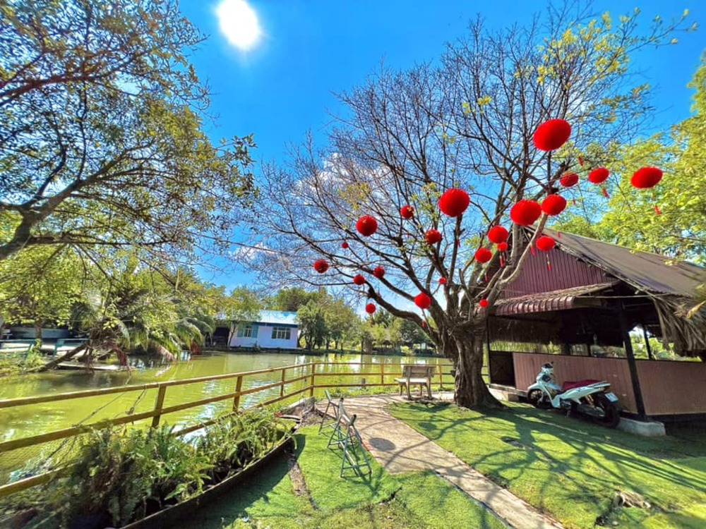 Ngồi thư giãn giữa không gian xanh mát