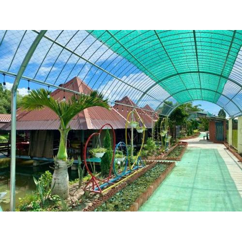 Khi thiên nhiên trở thành liều “vitamin xanh” cho tâm hồn