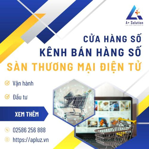 Sàn Thương Mại Điện Tử, Kênh Bán Hàng Số, Cửa Hàng Số