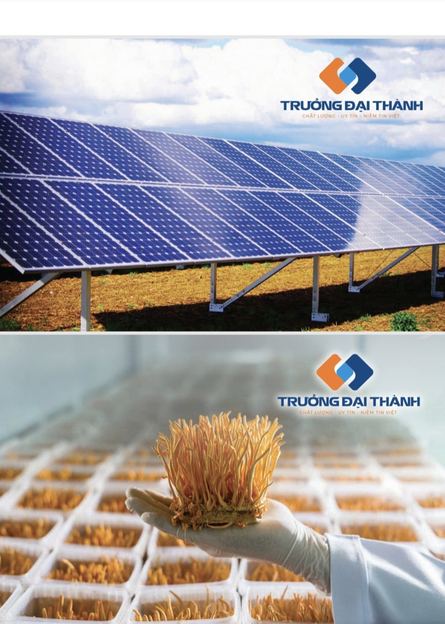 Cty Trưởng Đại Thành