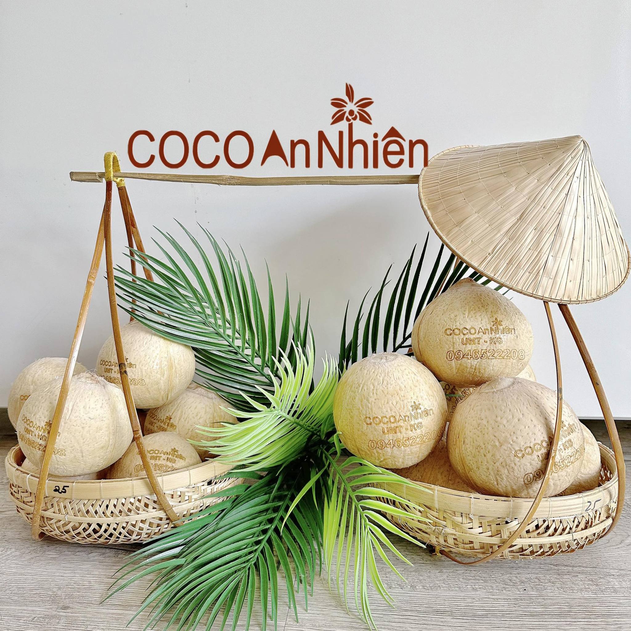 COCO An Nhiên (DEMO)