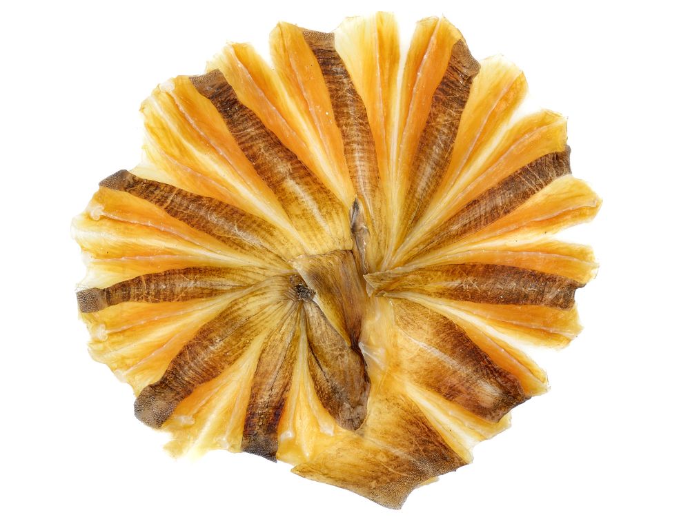 khô cá đuối