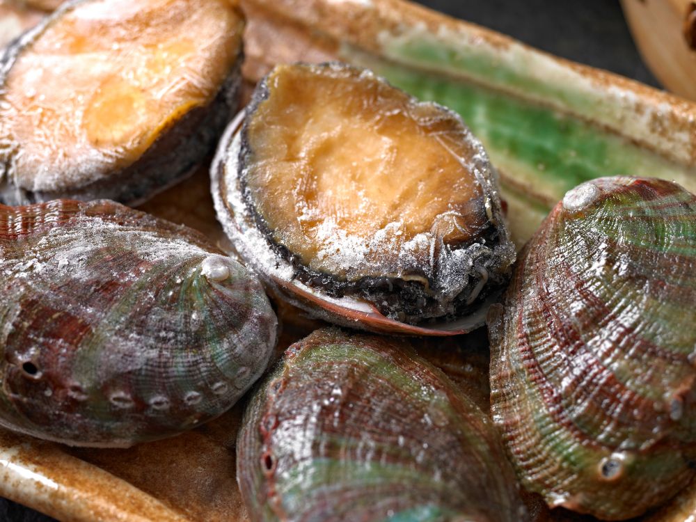 Bào ngư đông lạnh