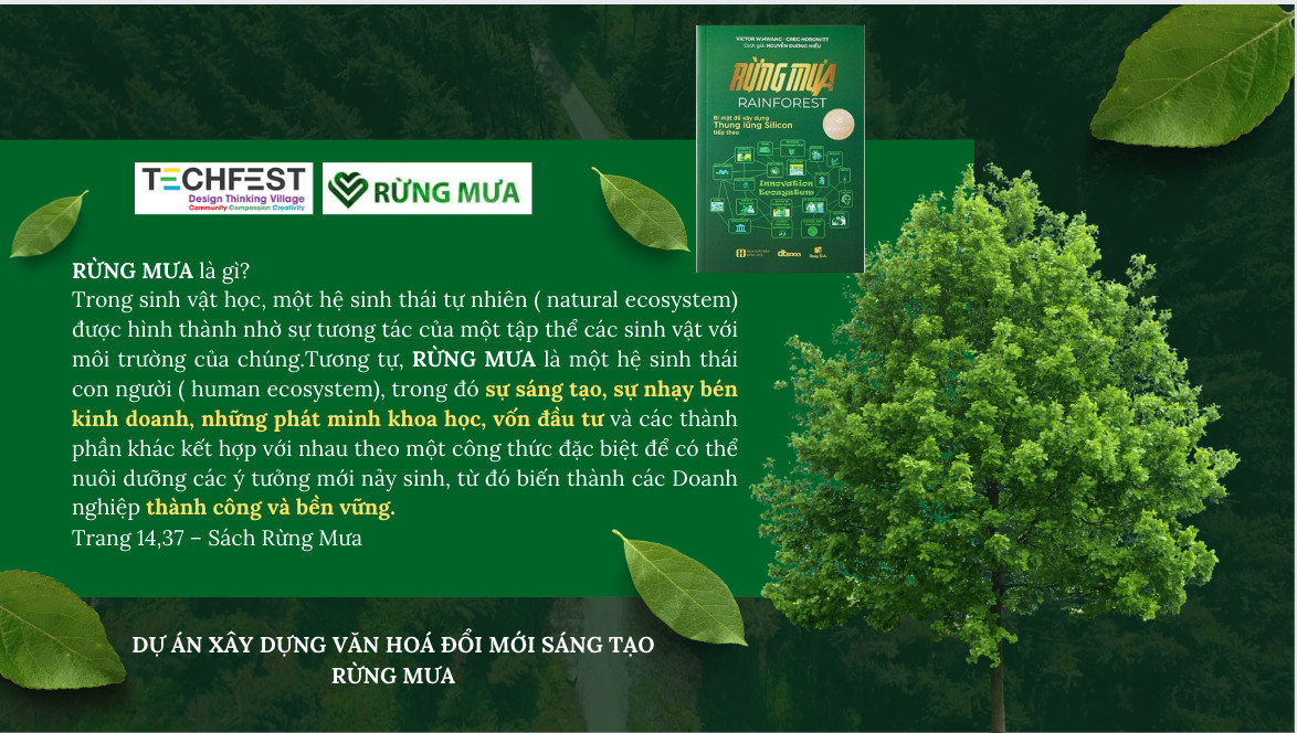 Rừng Mưa – Dự Án Xây Dựng Văn Hoá Đổi Mới Sáng Tạo