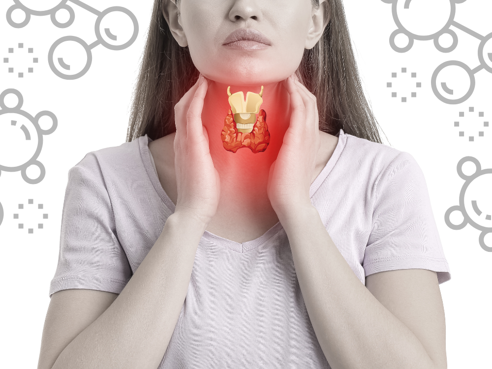 1. Hỗ trợ chức năng tuyến giáp