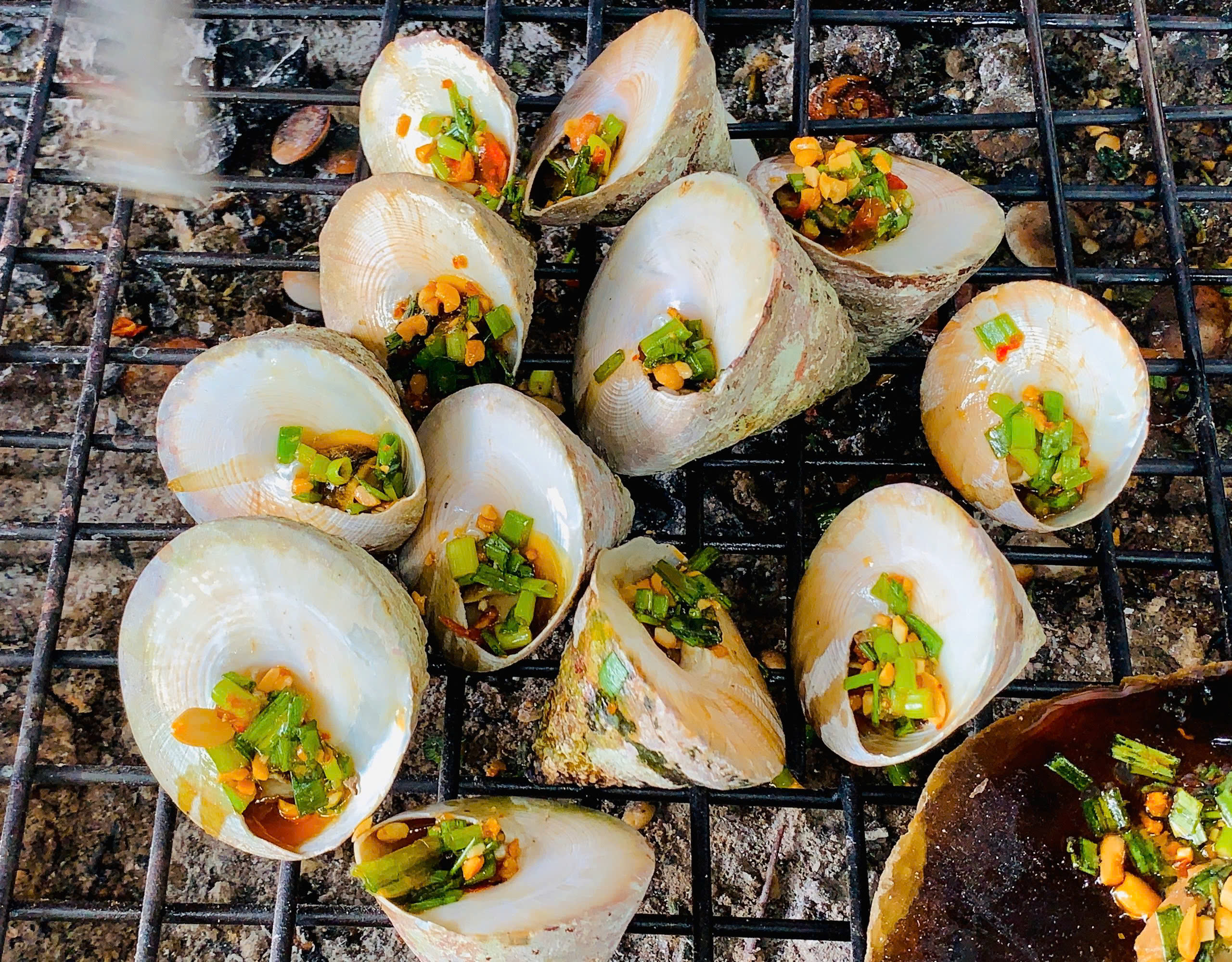 Nguồn góc ốc vú nàng