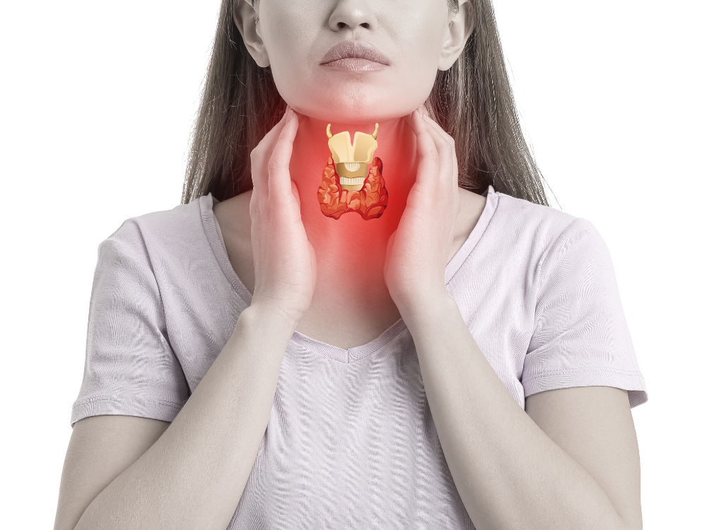 1. Cung cấp i-ốt tự nhiên – hỗ trợ hoạt động tuyến giáp