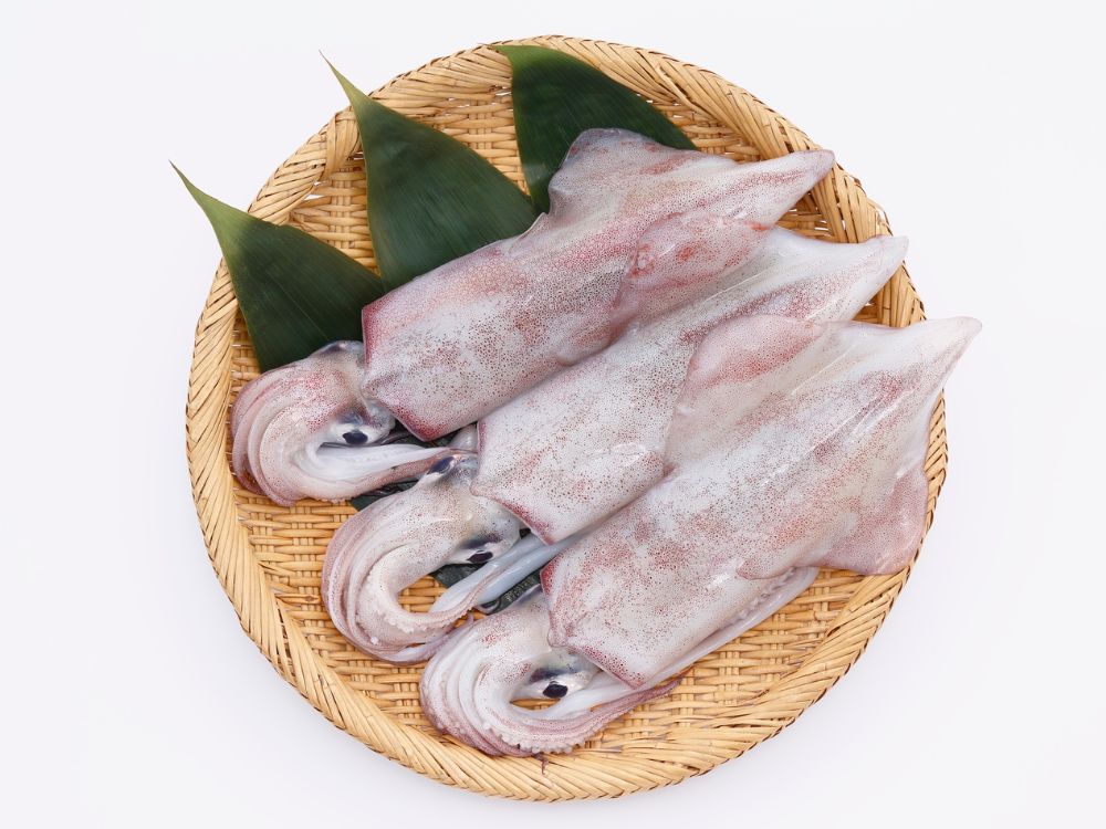 mực tươi