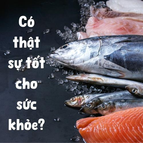Ăn Cá Mỗi Ngày Có Tốt Cho Sức Khỏe Không?