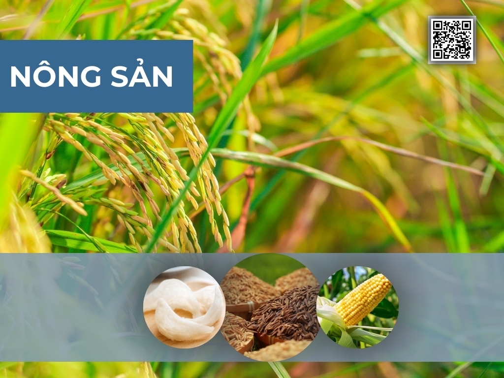 2. Nông sản