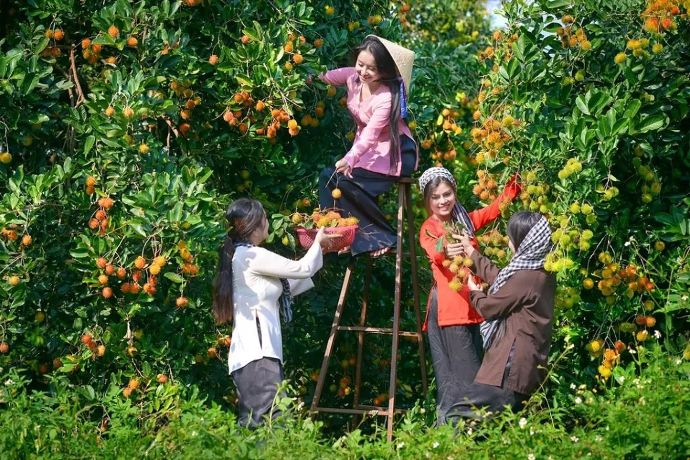 Văn hóa và du lịch