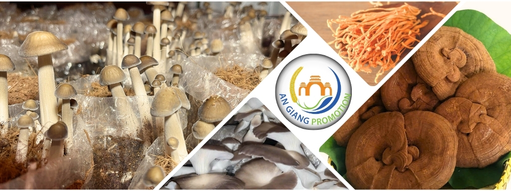 2.3. Nhóm Doanh nghiệp Nông nghiệp tuần hoàn