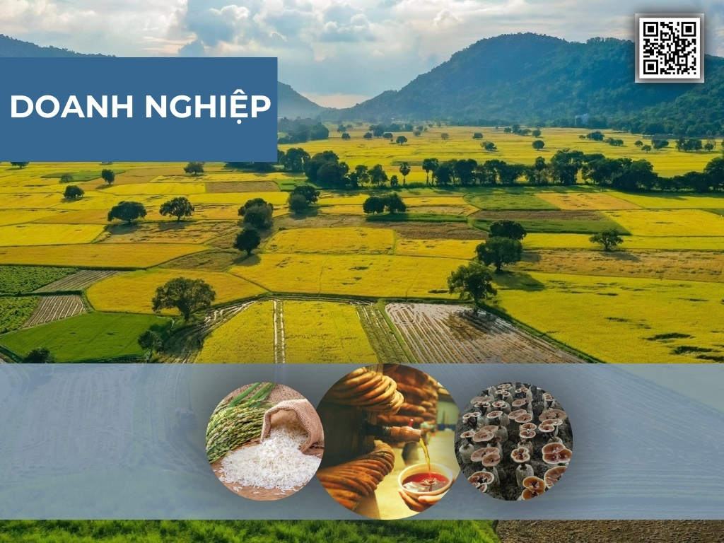 II. Doanh nghiệp An Giang