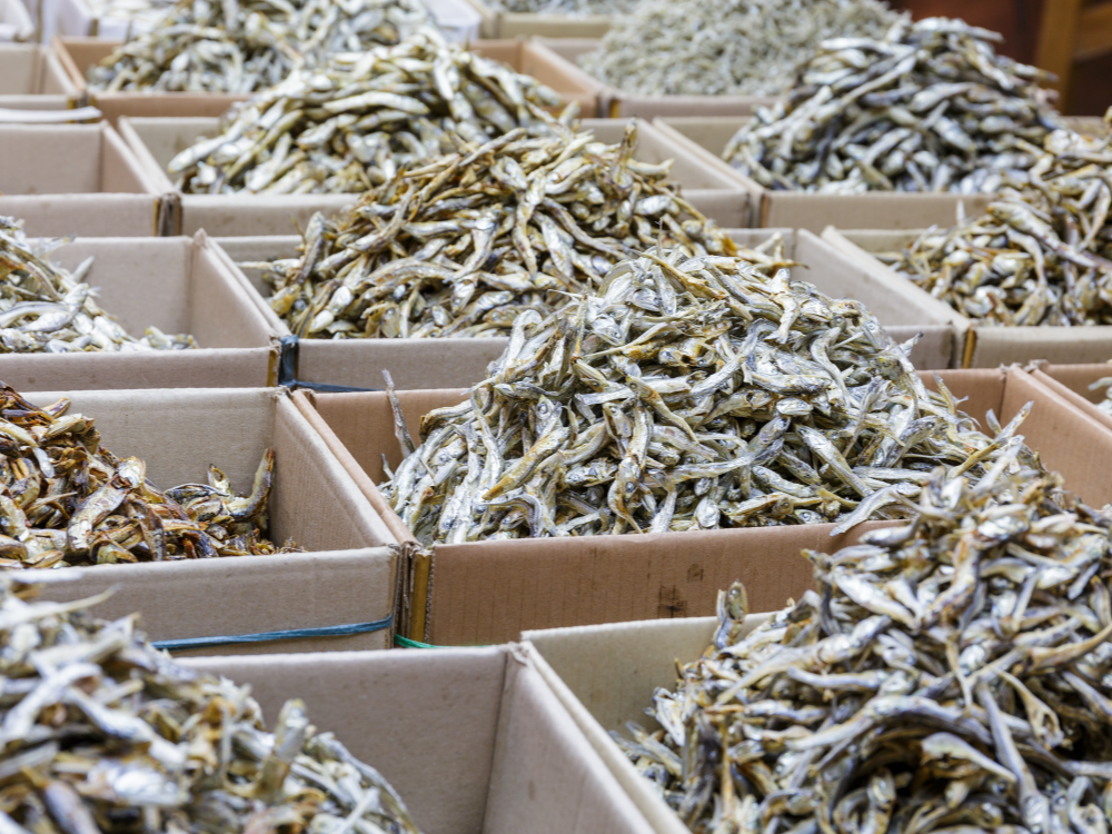 Canh khô cá mối chua