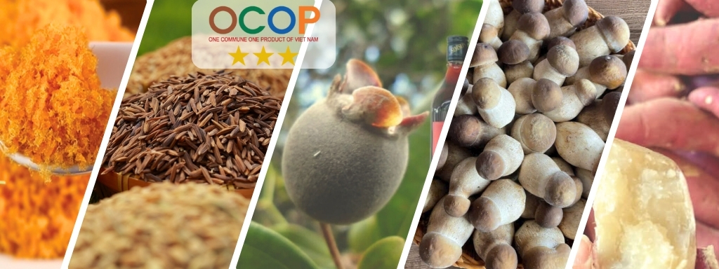 3. OCOP 3 sao