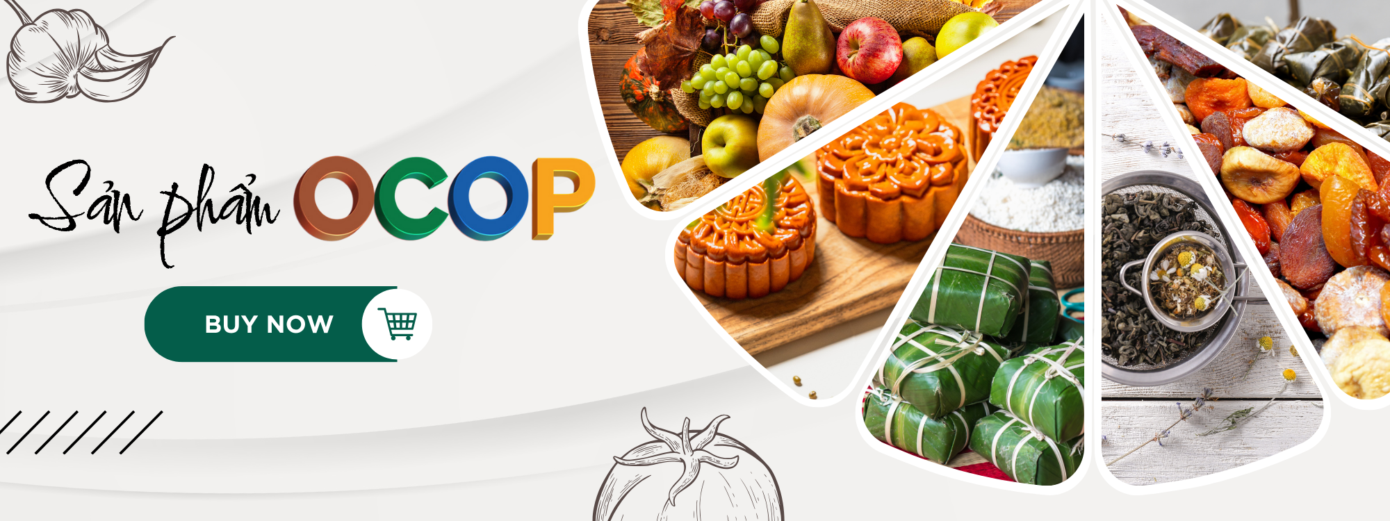 1. OCOP