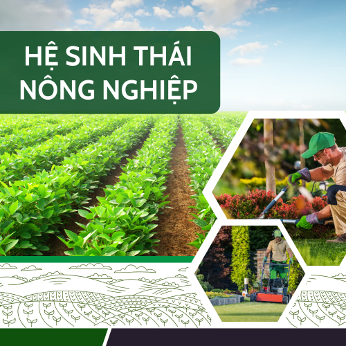 Hệ Sinh Thái Nông Nghiệp