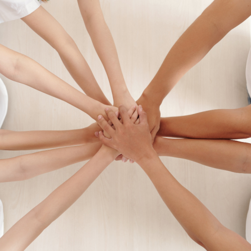 Hệ Sinh Thái Thiện Nguyện