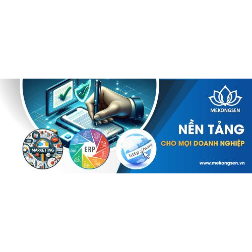 2. MEKONGSEN: Tư Vấn Giải Pháp Chuyển Đổi Số Doanh Nghiệp
