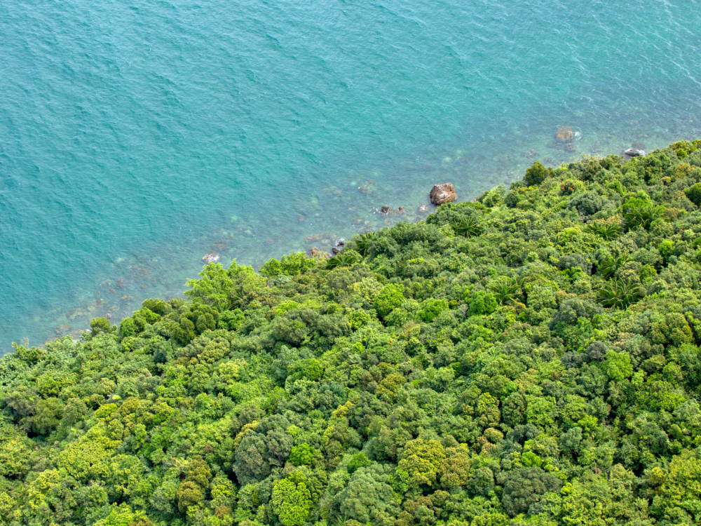 Hòn Đồi Mồi – Điểm dã ngoại lý tưởng