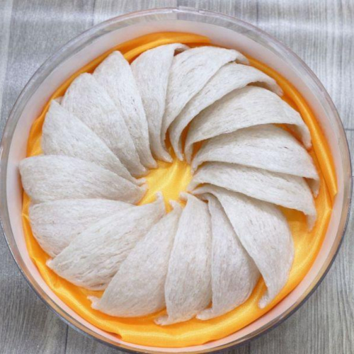 Tổ yến định hình A5