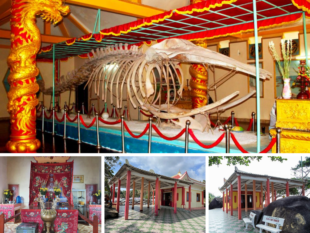 Tổng quan kiến trúc