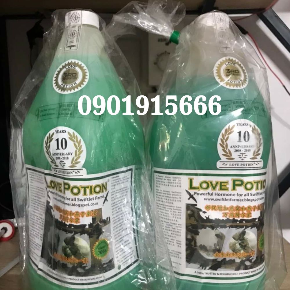 Có Nên Sử Dụng Dung Dịch Love Potion 1L Cho Nhà Yến Mới Xây Dựng Không?