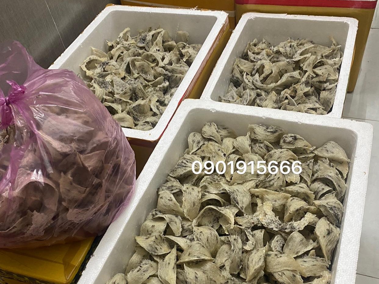 Nấm mốc ảnh hưởng như thế nào đến giá trị tổ yến?