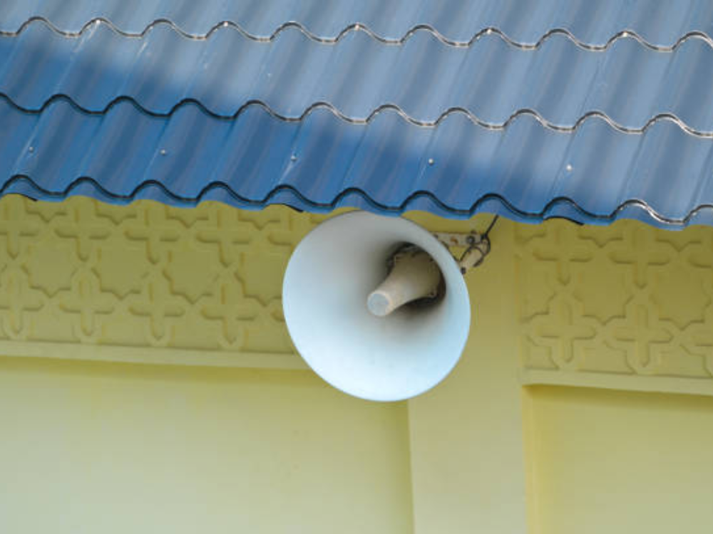 Phân biệt các loại nuôi yến phổ biển hiện nay