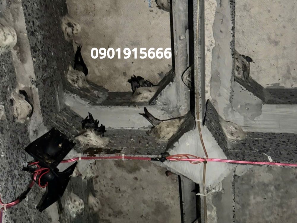 Ngăn ngừa nấm mốc tái phát, duy trì công trình bền vững