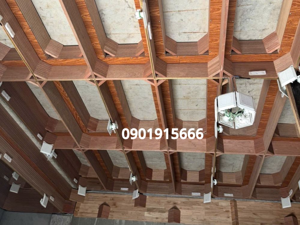 Bảo vệ gỗ lâu dài – Tạo môi trường sạch cho đàn yến phát triển