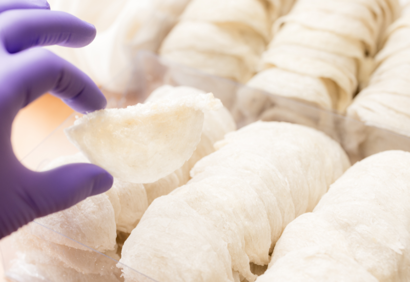 Chuẩn bị yến tinh chế trước khi chưng